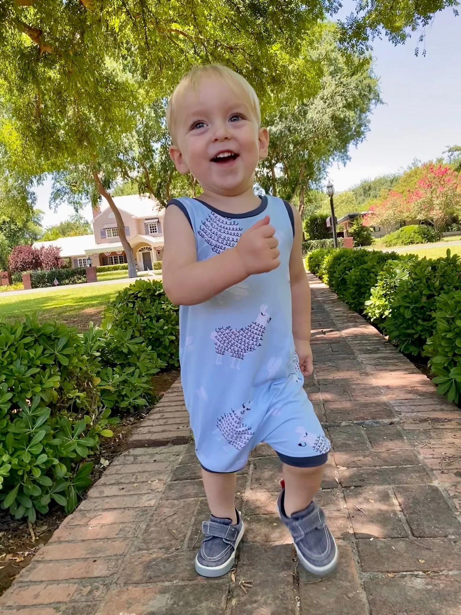 Blue Llamas Summer Zip Romper