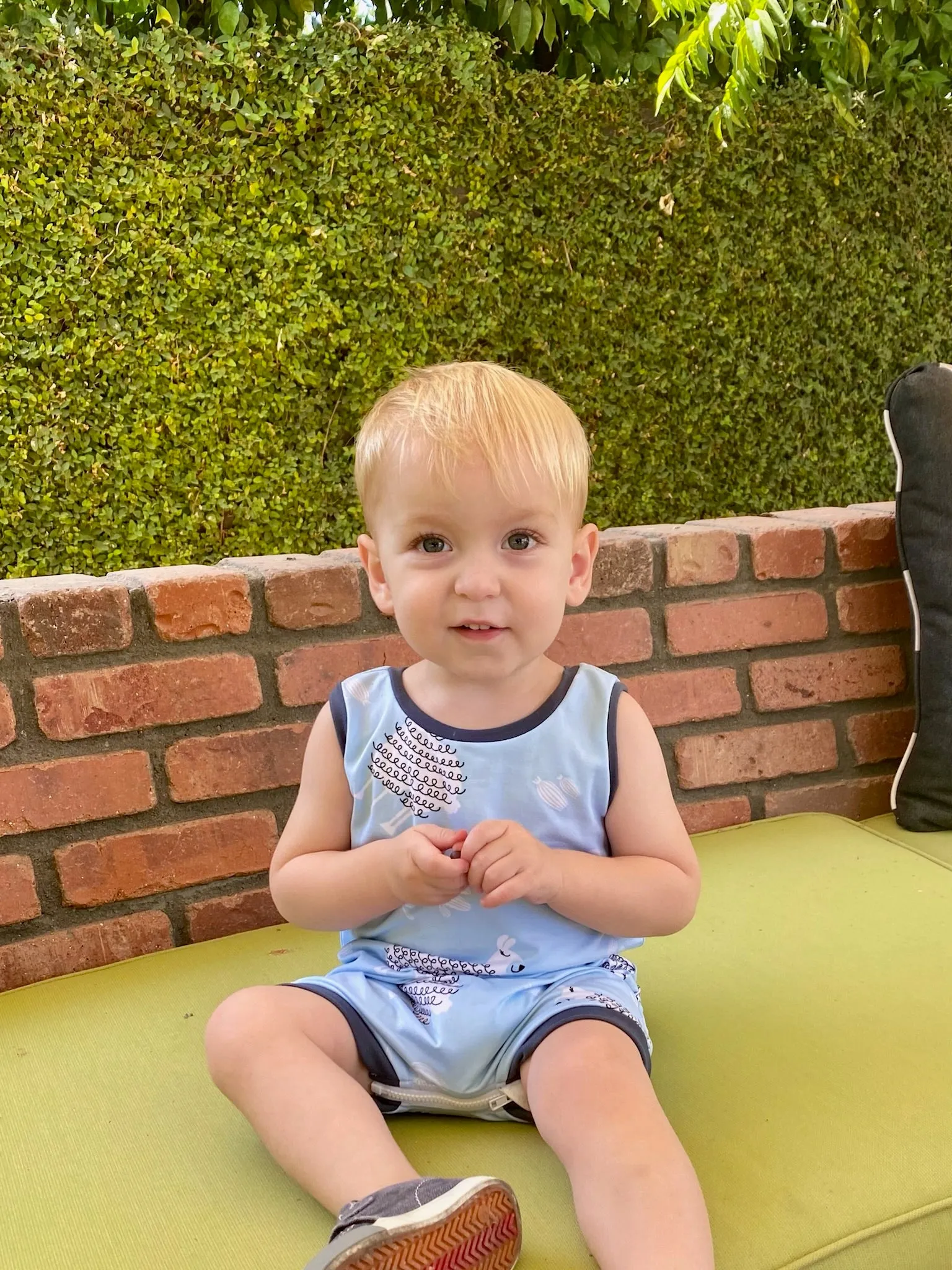 Blue Llamas Summer Zip Romper