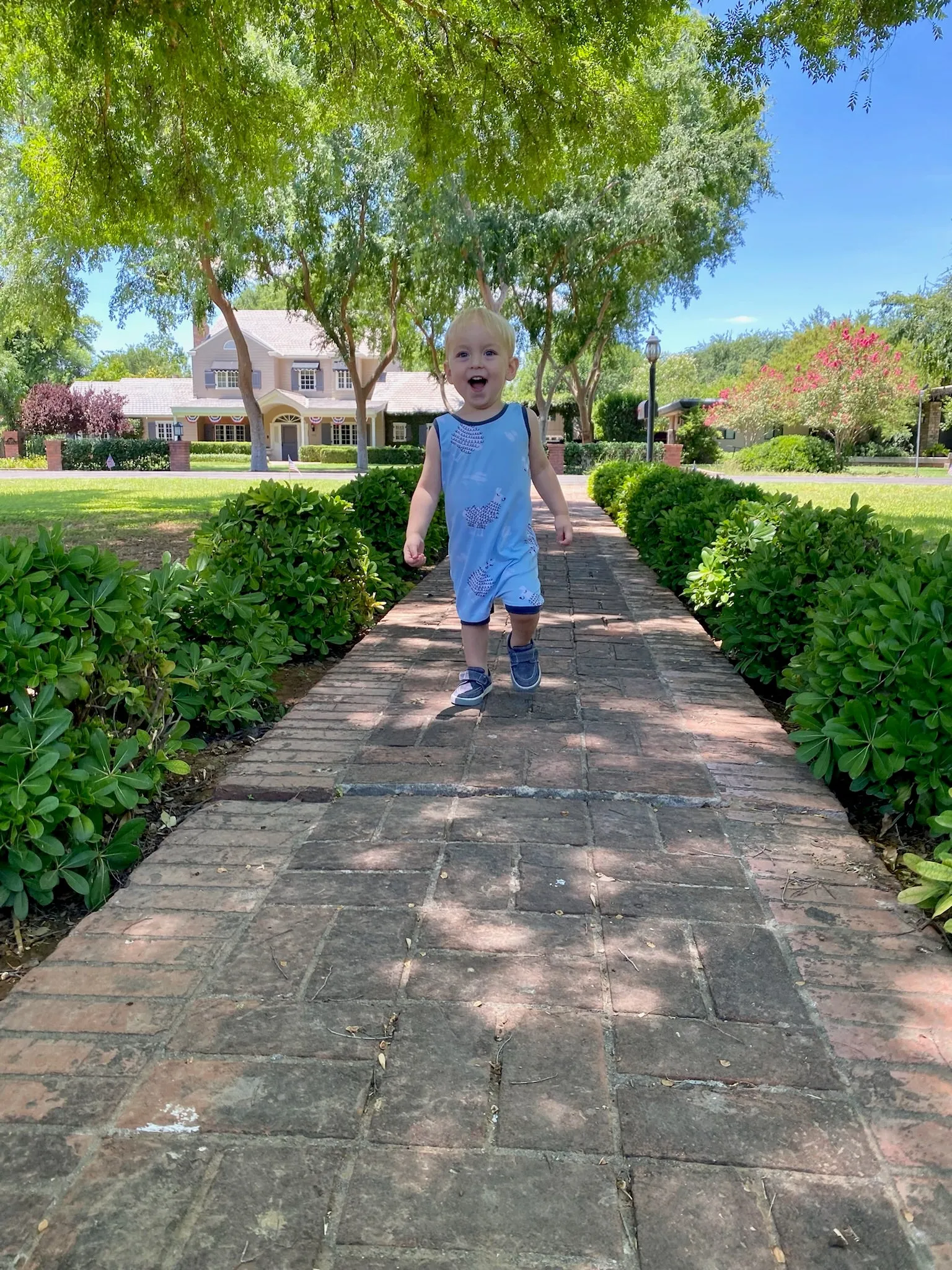 Blue Llamas Summer Zip Romper
